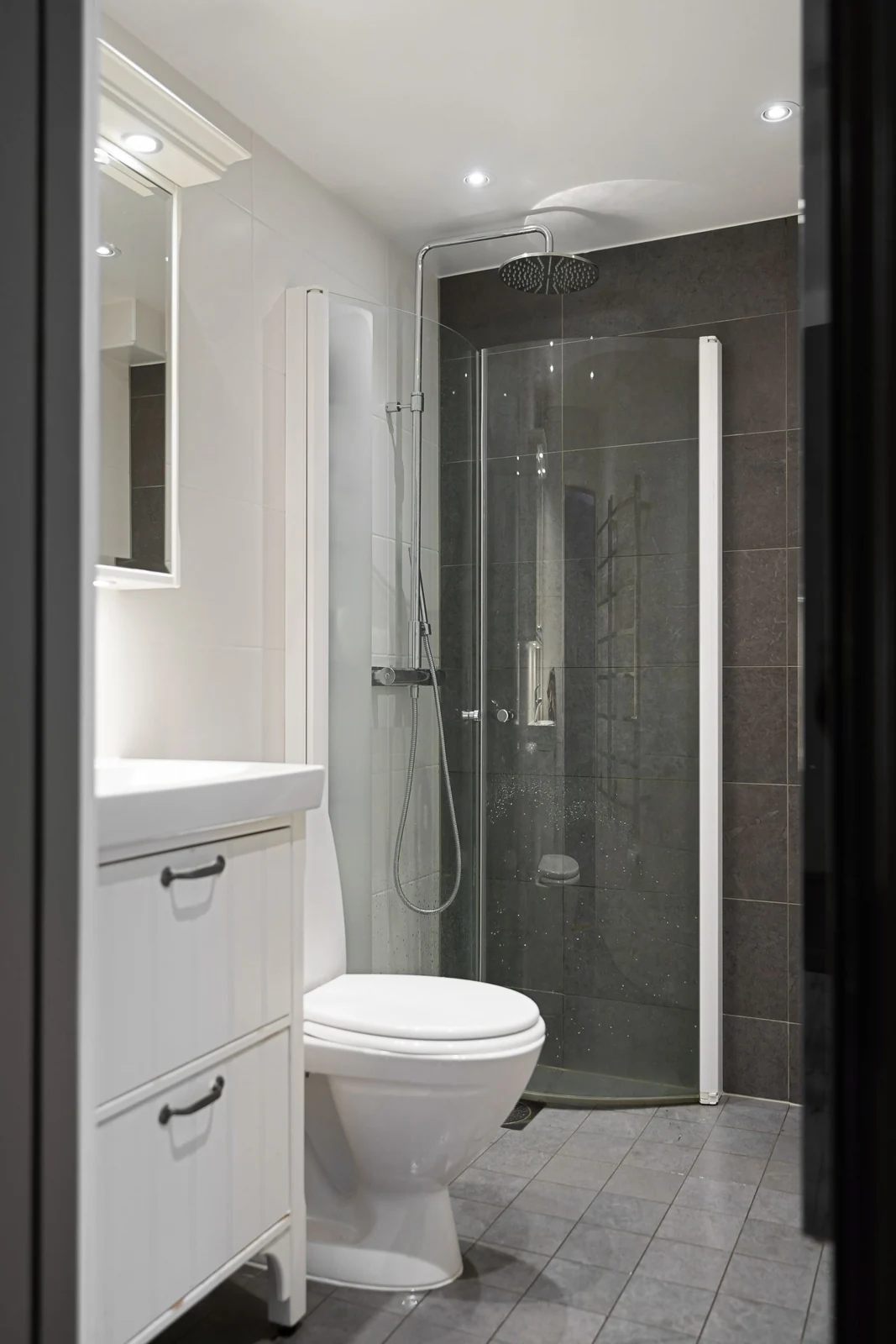 Compact shower room and toilet